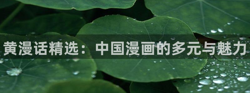 韩漫免费观看漫画在线：黄漫话精选：中国漫画的多元与魅力
