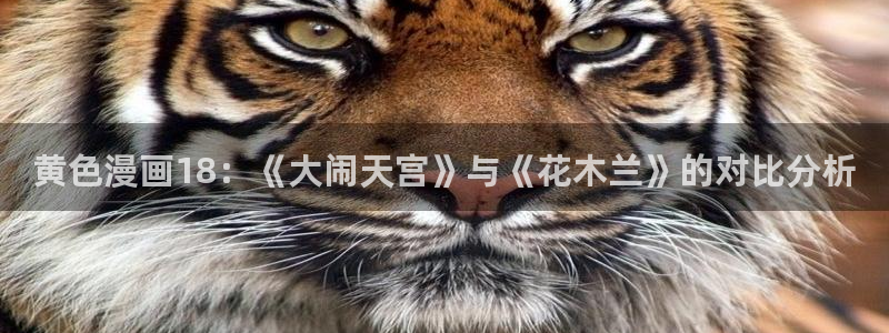 韩漫网址免费看：黄色漫画18：《大闹天宫》与《花木兰》的对比分析