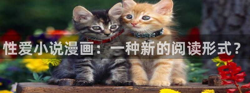 韩漫在线免费观看完整版：性爱小说漫画：一种新的阅读形式？