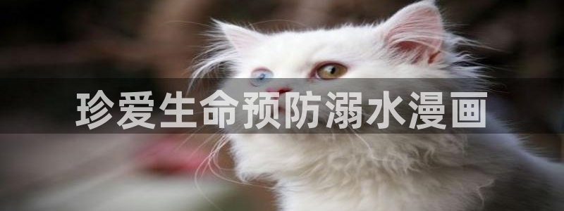 韩漫漫画画免费画漫画大全在线观看：珍爱生命预防溺水漫画